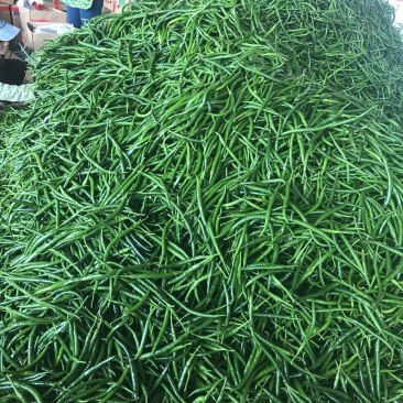 辣椒🌶️大量上市！