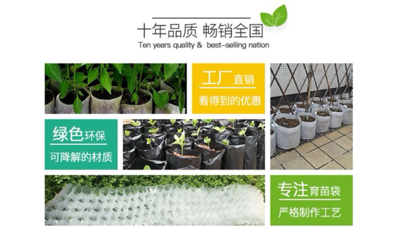 塑料育苗袋20×30柑橘牛油果育苗袋子