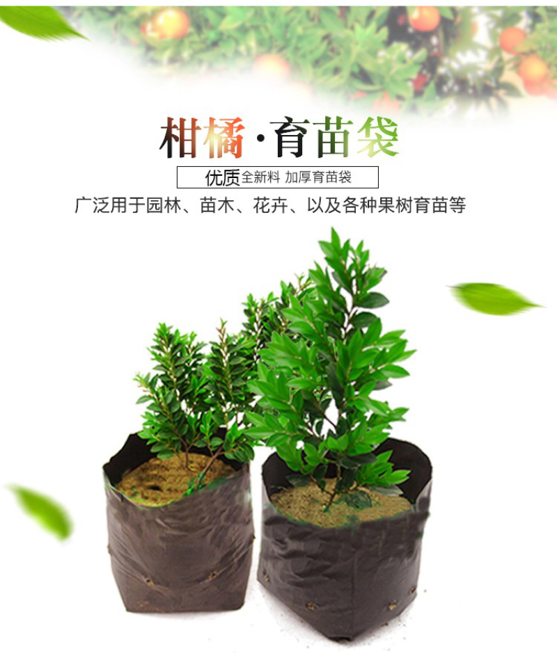 塑料育苗袋20×30柑橘牛油果育苗袋子