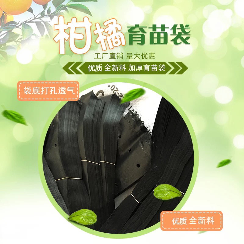 塑料育苗袋20×30柑橘牛油果育苗袋子