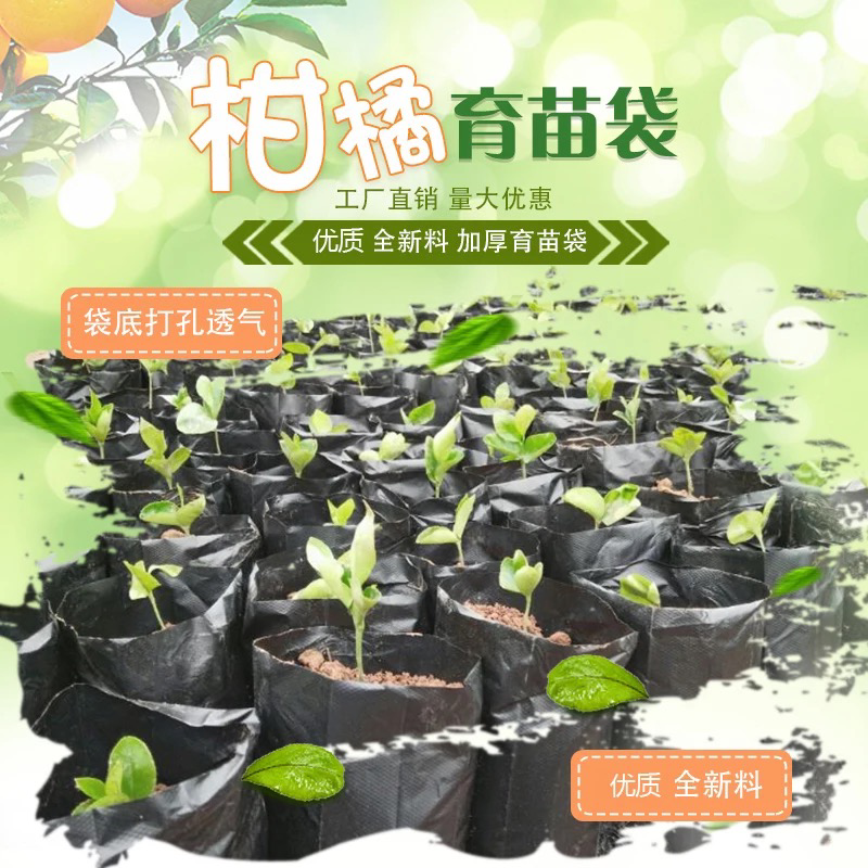 塑料育苗袋20×30柑橘牛油果育苗袋子