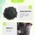 塑料育苗袋20×30柑橘牛油果育苗袋子