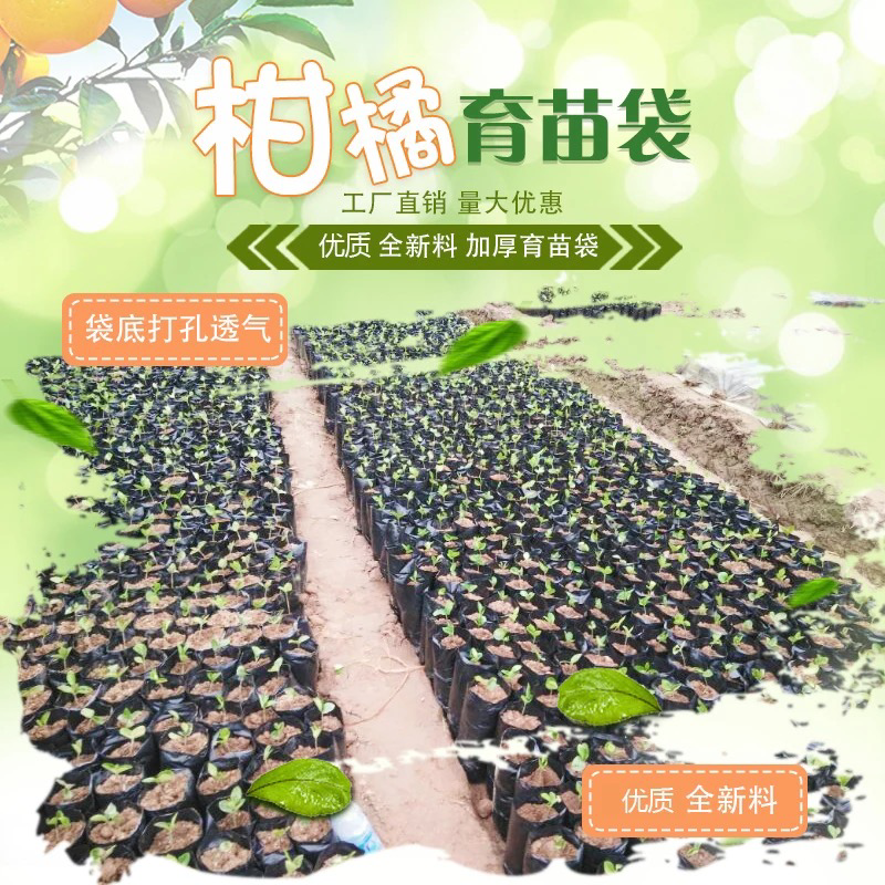 塑料育苗袋20×30柑橘牛油果育苗袋子