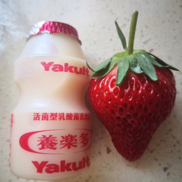 久久草莓，一件代发。诚招代理，经销