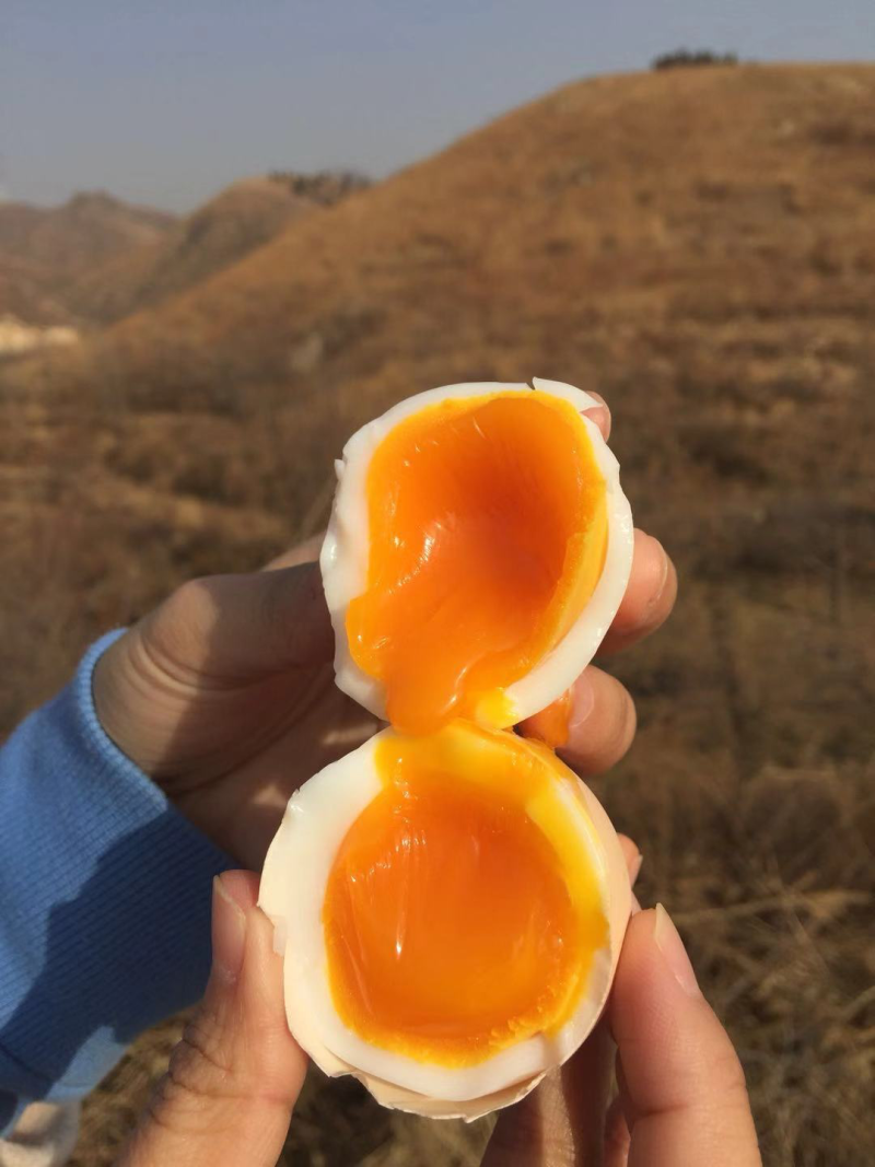 大山里的柴鸡蛋～包邮