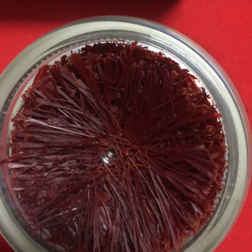 藏红花花丝和种球出售花丝50-80一克种球50-70一斤
