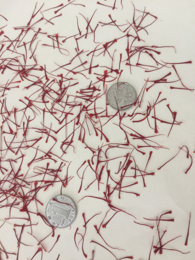 藏红花花丝和种球出售花丝50-80一克种球50-70一斤