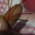 藏红花花丝和种球出售花丝50-80一克种球50-70一斤
