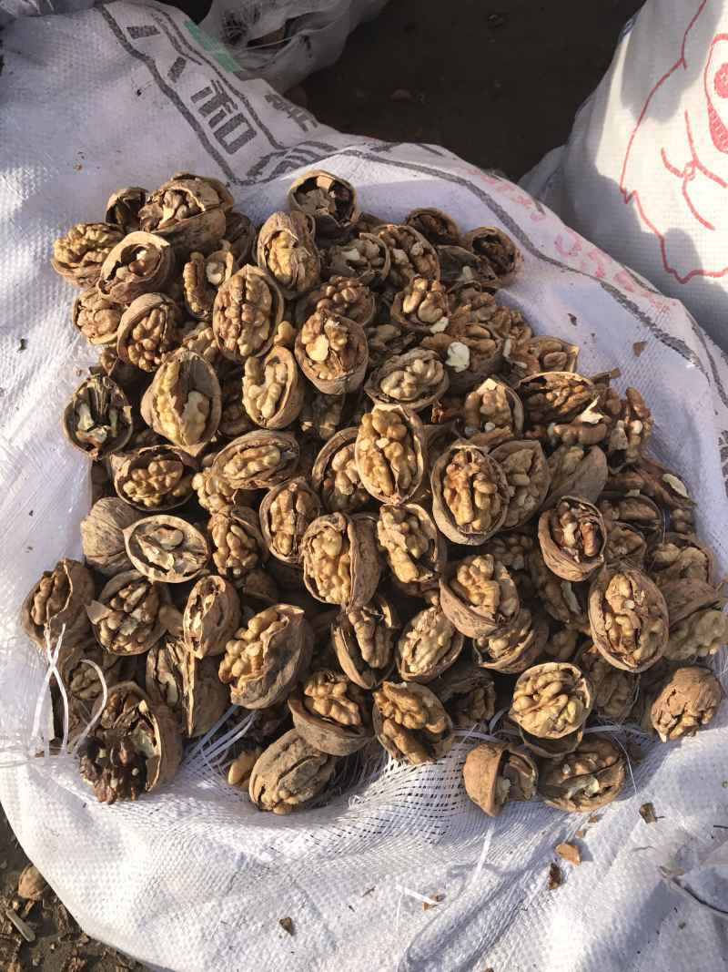 新疆幸福核桃
