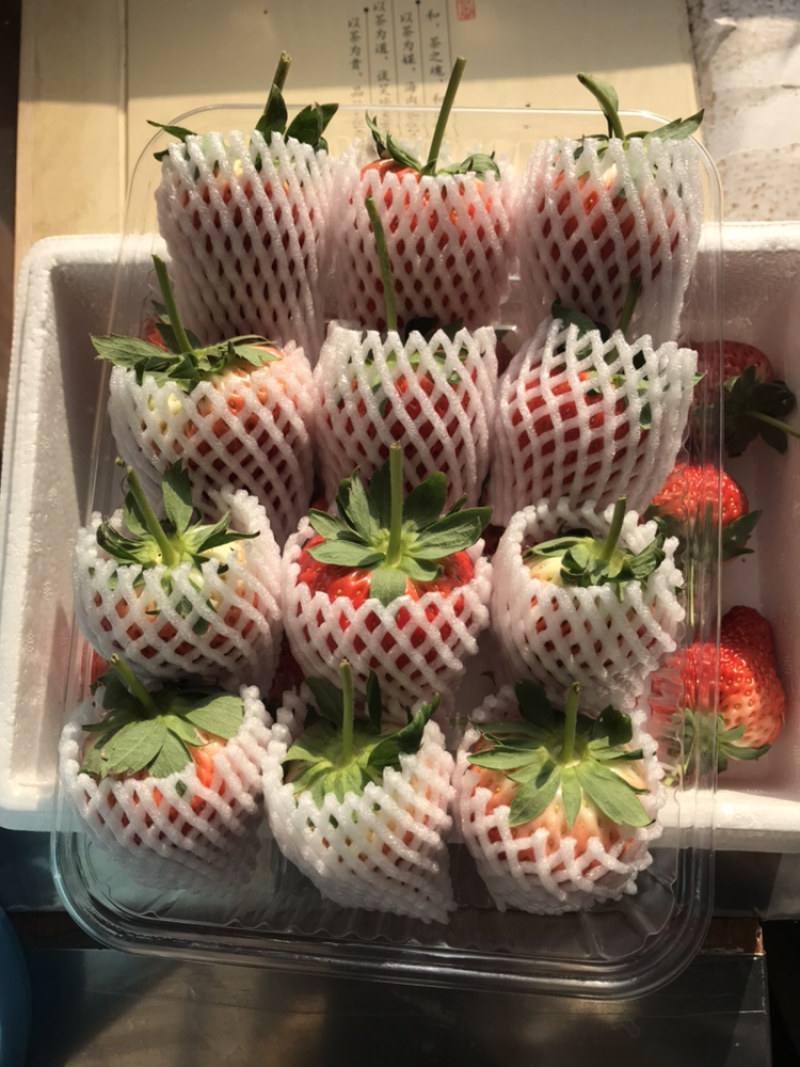 久久草莓九九草莓基地直供现摘现发