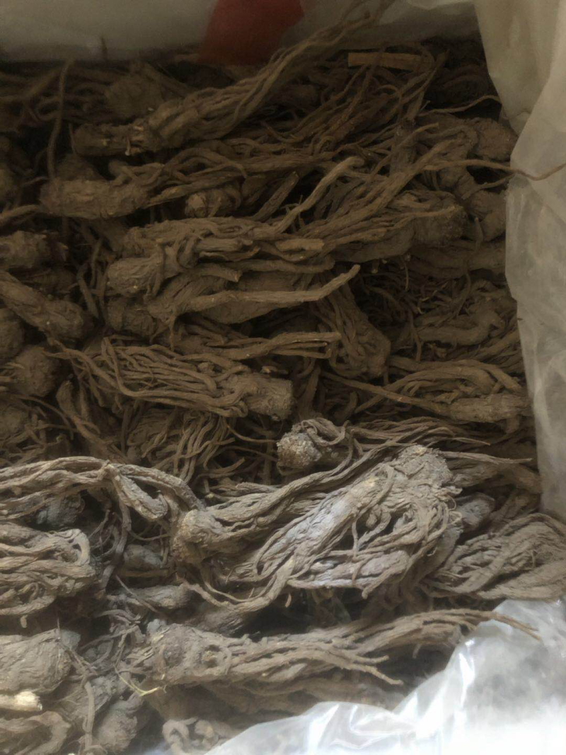 当归当归个无硫当归个