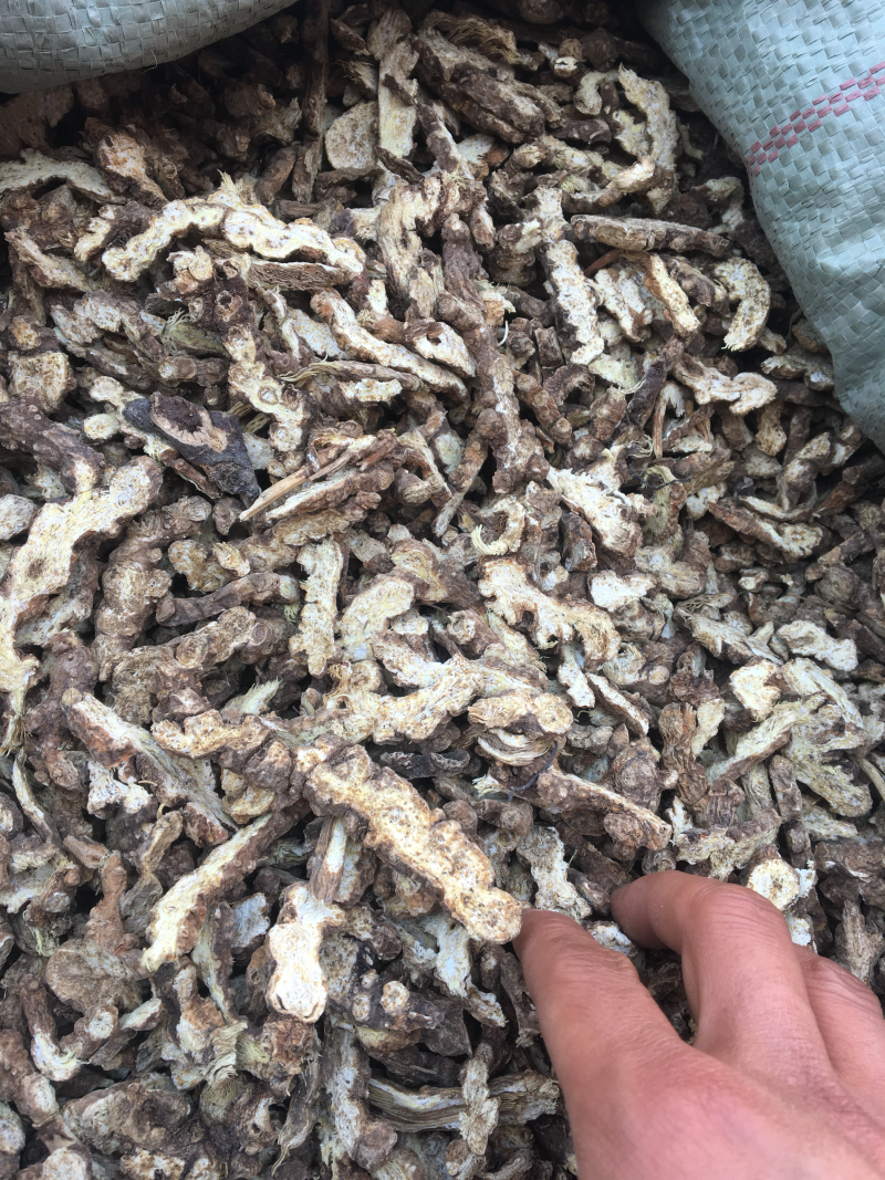苍术精品好货，价格美丽