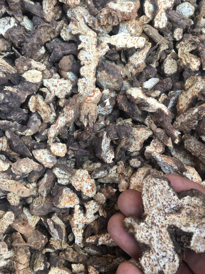 苍术精品好货，价格美丽