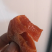 正宗富平柿饼
