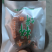 正宗富平柿饼