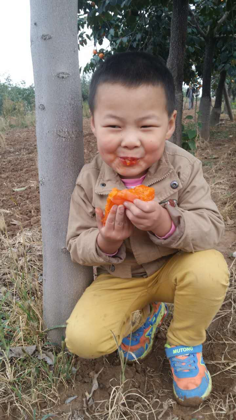 富平降霜柿饼