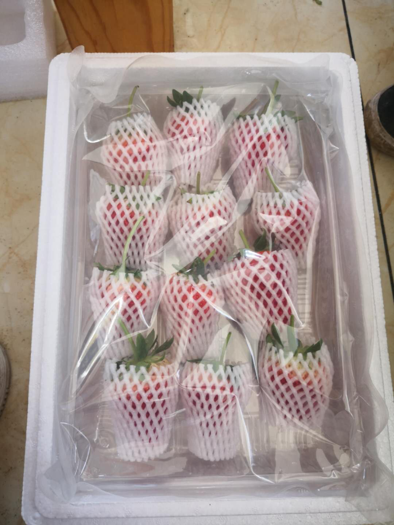 丹东九九草莓大连草莓基地九九草莓