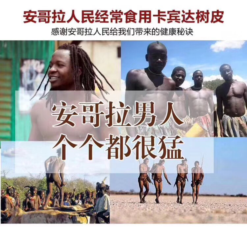 安哥拉树皮