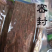 安哥拉树皮