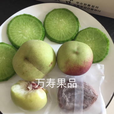 潍县萝卜青萝卜正宗