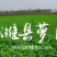 潍县萝卜青萝卜正宗