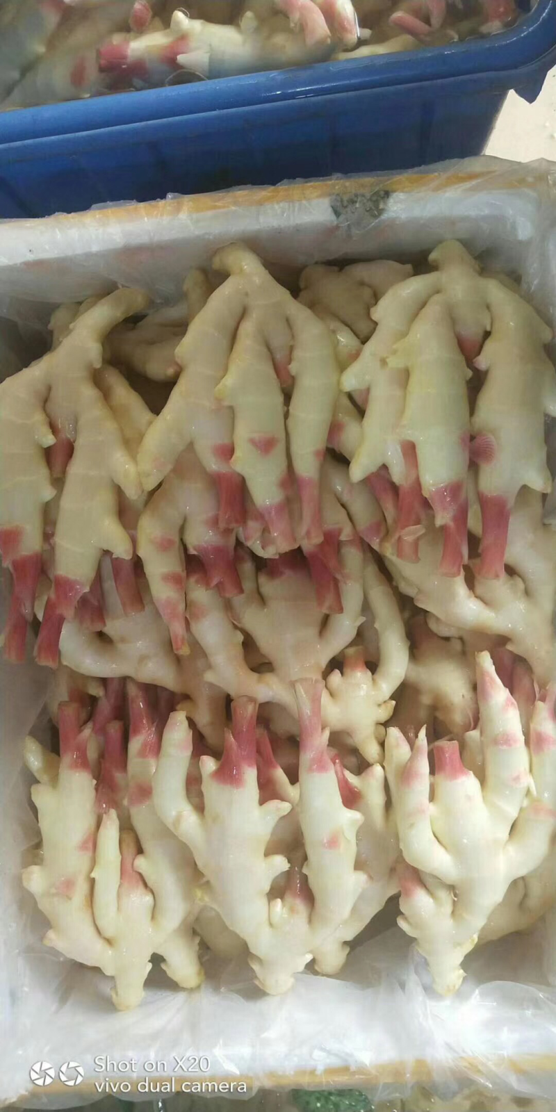 生姜