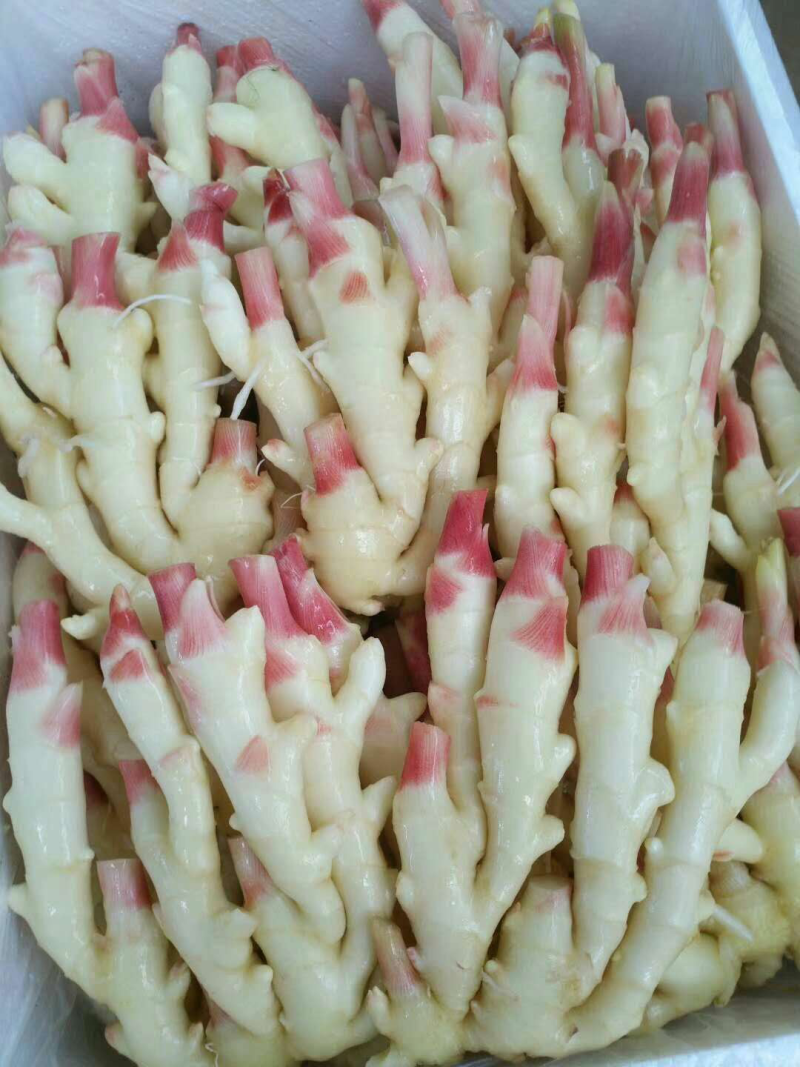 生姜