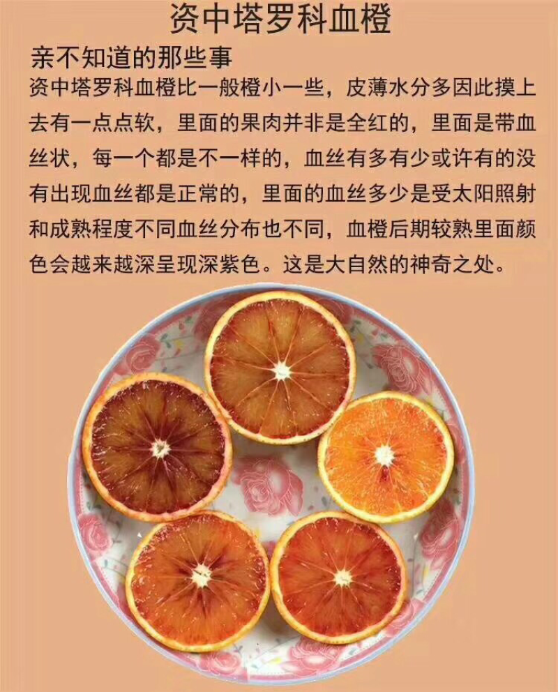 塔罗科血橙自己家里种的血橙有需要的可以联系我