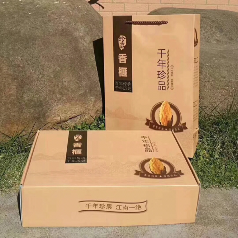 好香榧在农家一一榧常好