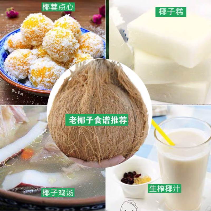 毛椰子海南椰子老椰子特价包邮