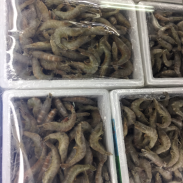 大青虾10斤一箱净重