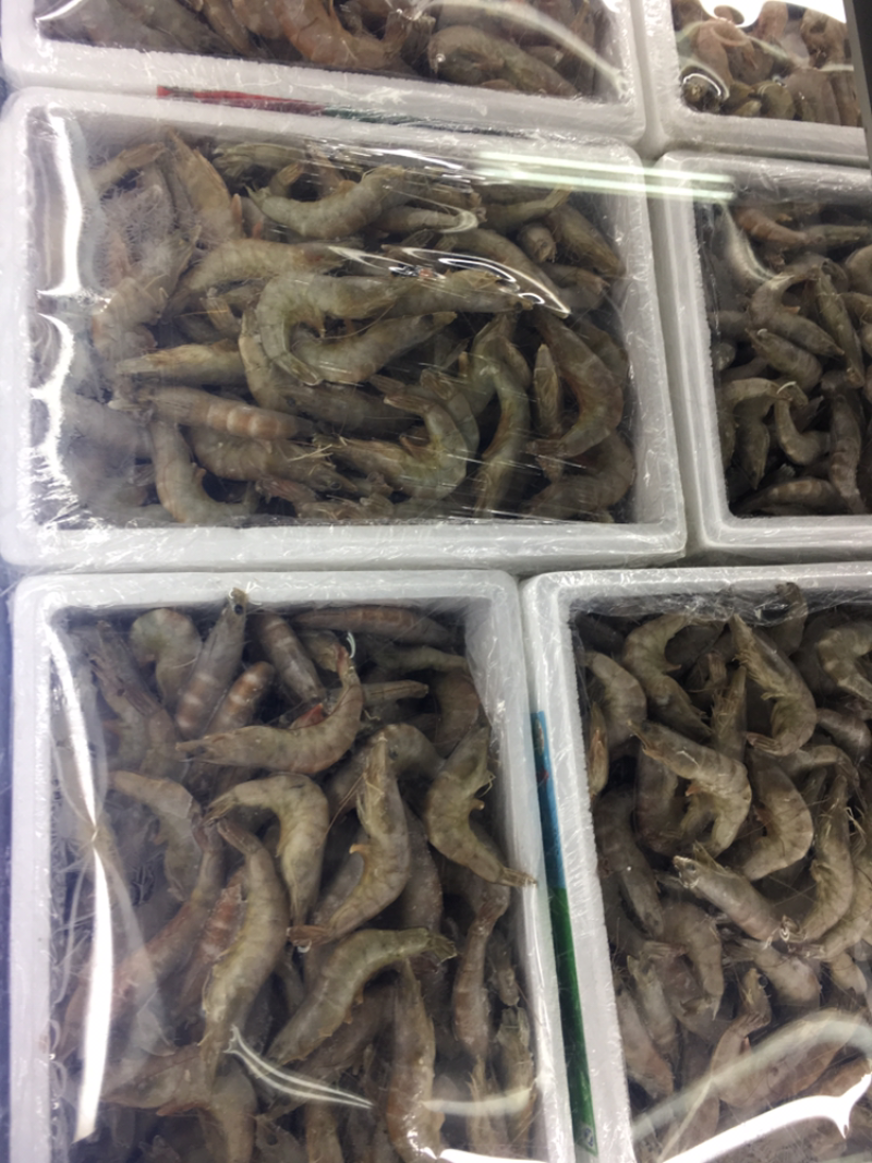 大青虾10斤一箱净重
