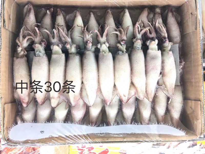 籽乌