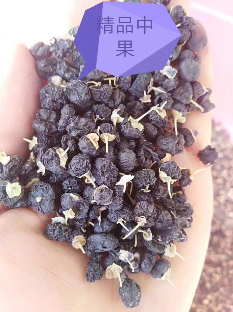 黑枸杞
