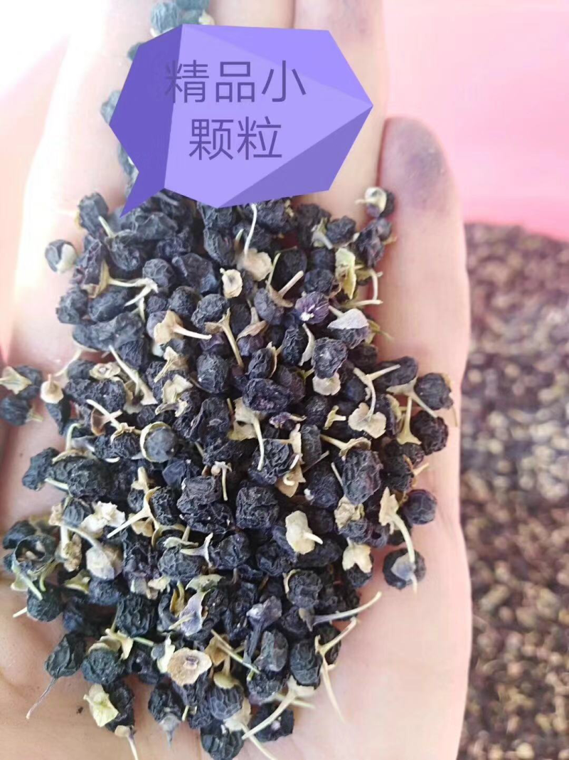 黑枸杞