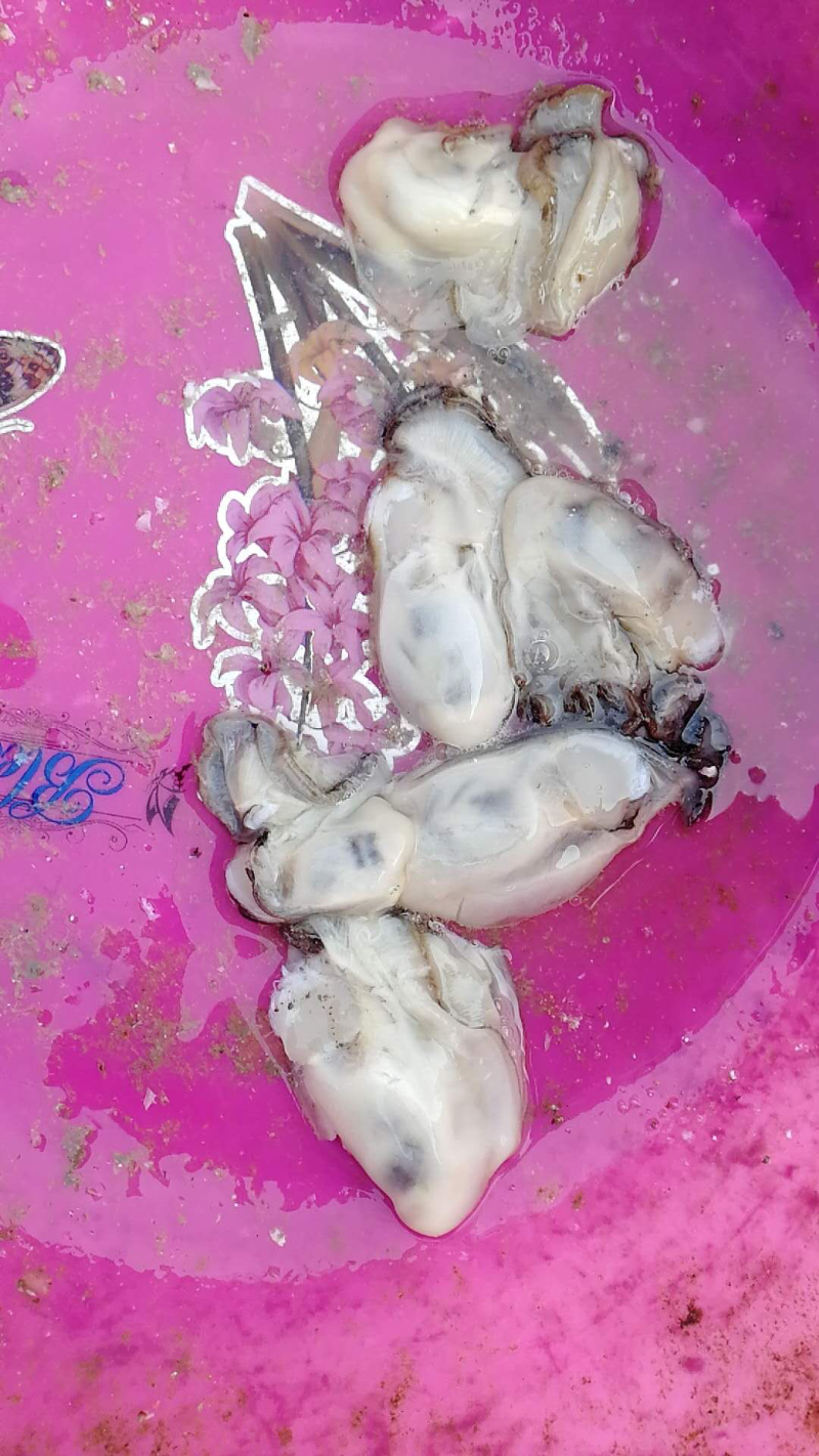 海蛎子肉