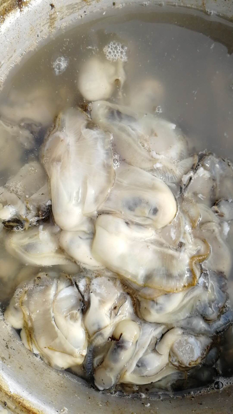 海蛎子肉