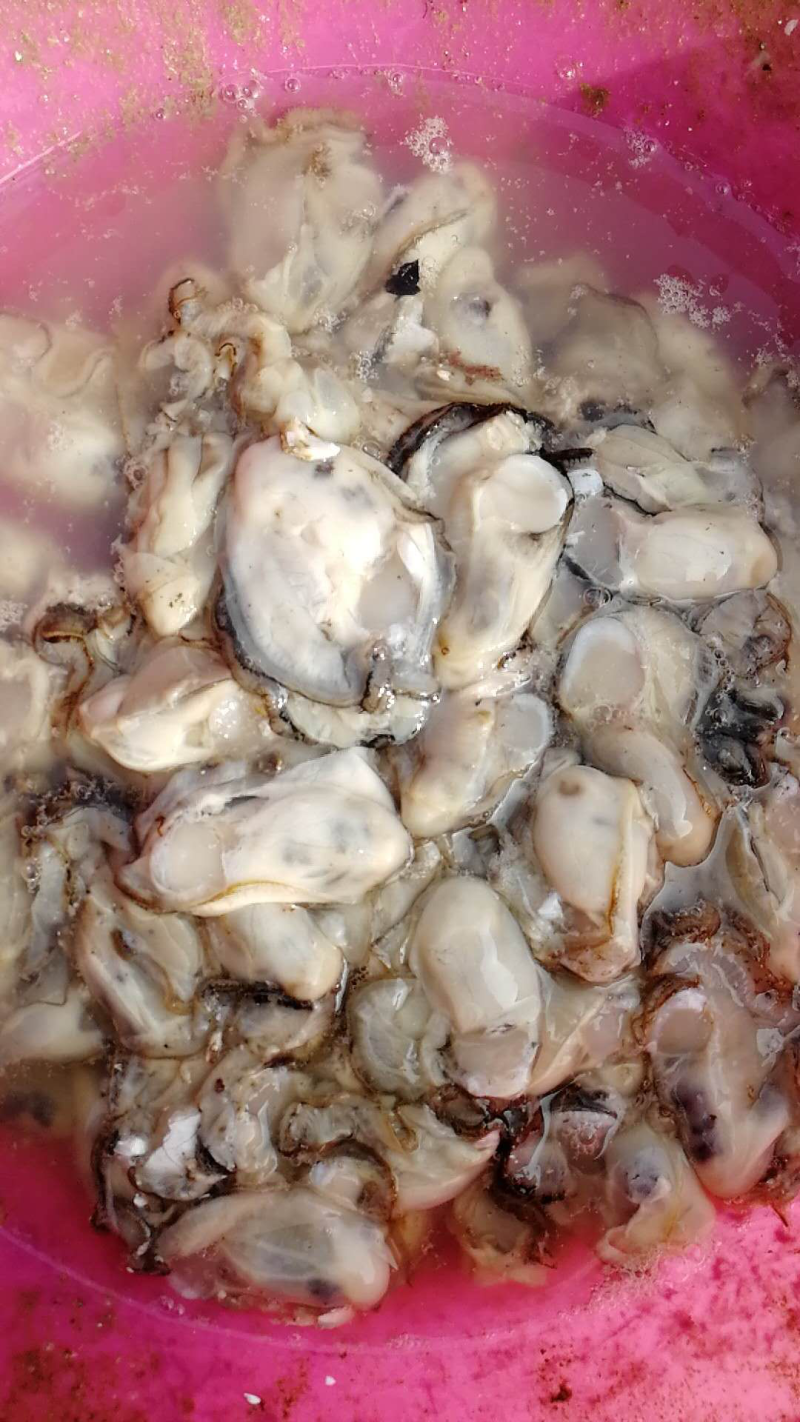 海蛎子肉