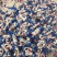 精品糖果