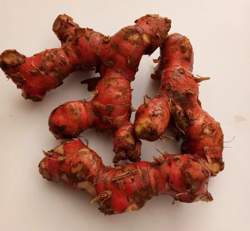 潮汕南姜