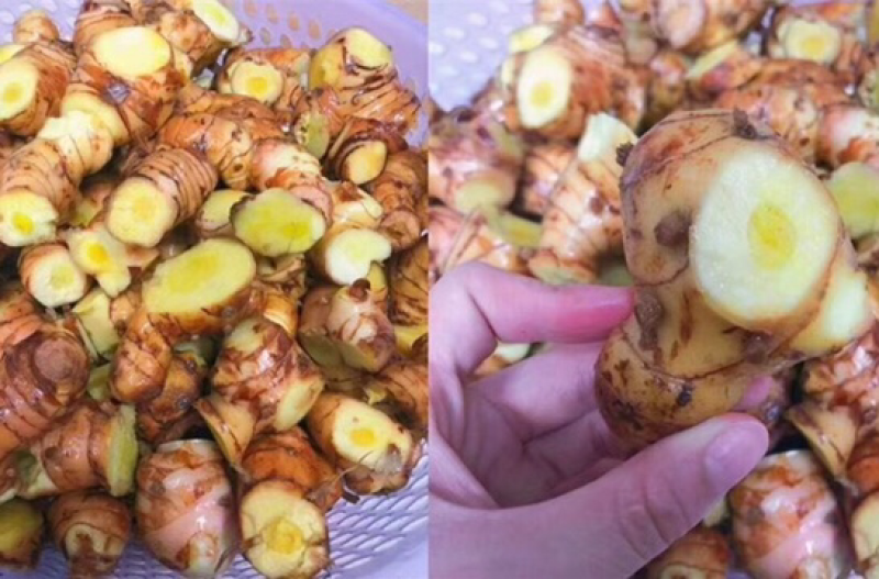 潮汕南姜