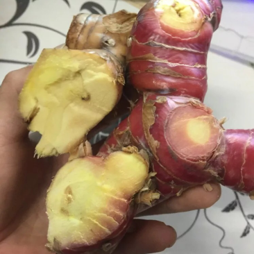 潮汕南姜