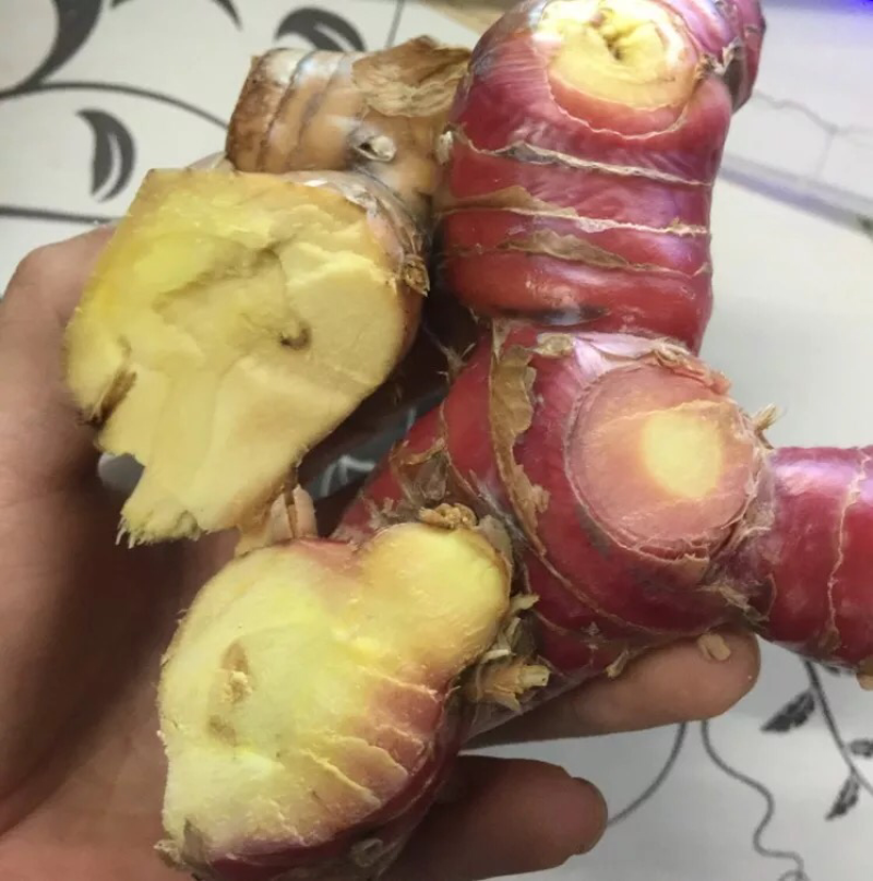 潮汕南姜