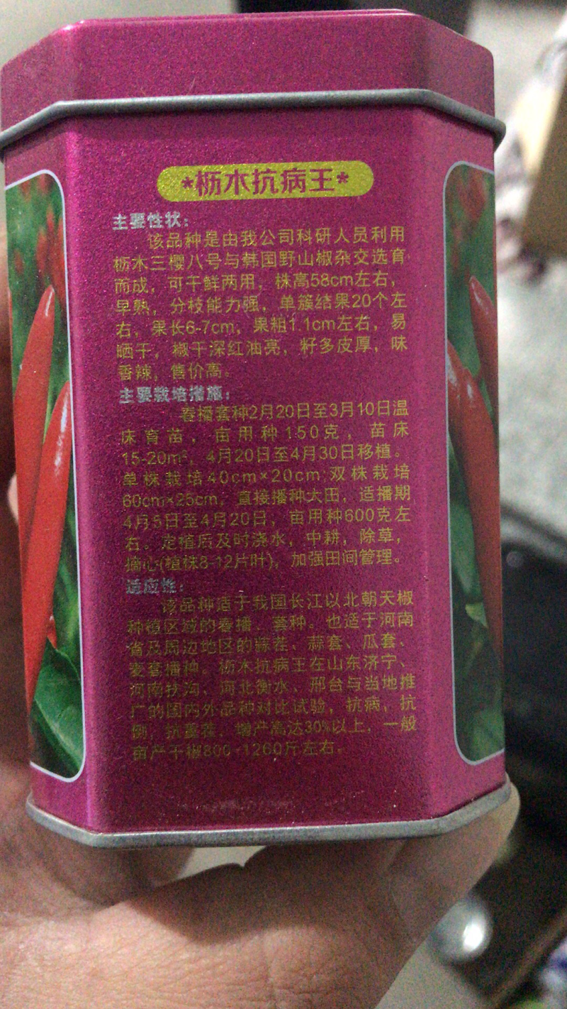 超高产特抗病辣椒种子天鹰椒种子三樱椒种子朝天椒种子木