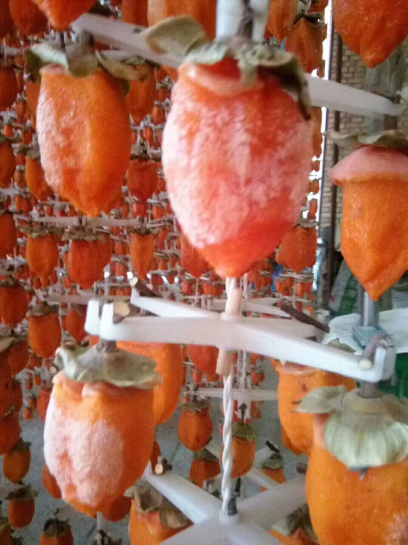 正宗富平吊霜柿饼