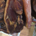 张家界湘西腊肉，土特产，山村土货