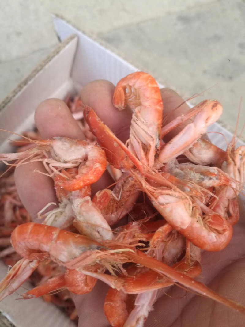夹板虾抓虾加工户直销品质有保障欢迎选购