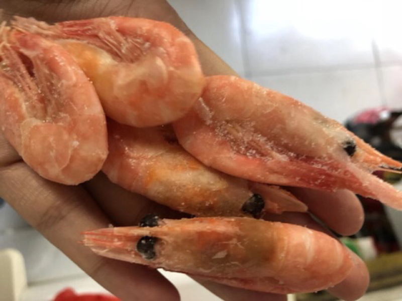 北极虾