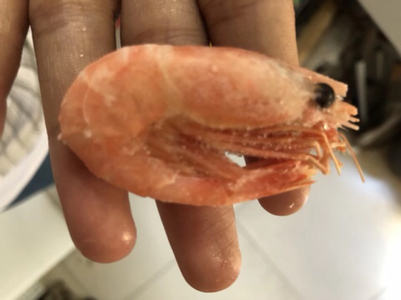 北极虾