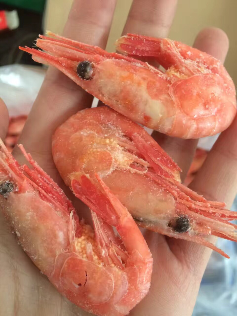 北极虾